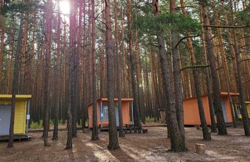 Кемпинг "Клевое место": летний домик, баня-бочка от 65р