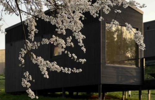 Модульный дом "Nomad Houses" на Браславских озерах со скидкой 50%